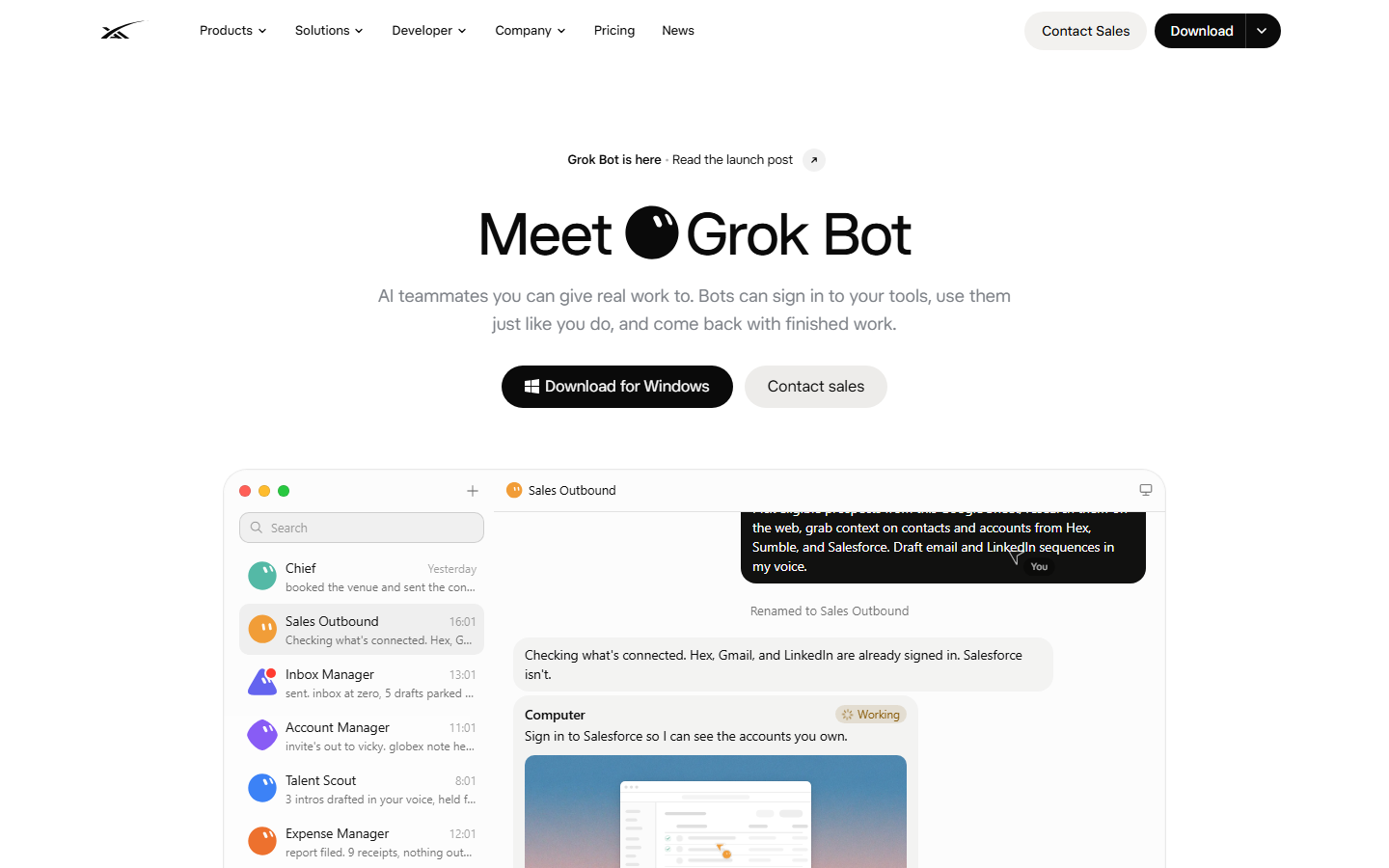 Página oficial Grok Bot — xAI